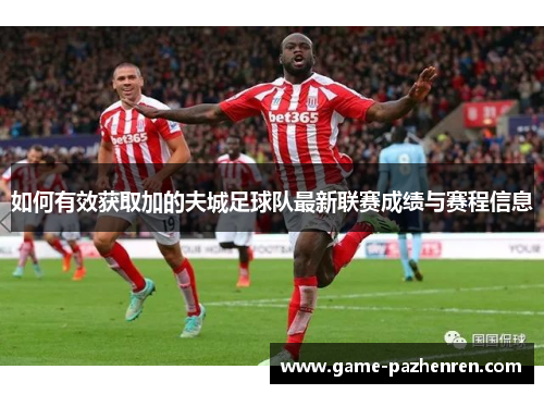 如何有效获取加的夫城足球队最新联赛成绩与赛程信息 如何有效获取加的夫城足球队最新联赛成绩与赛程信息