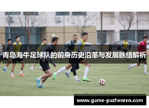 青岛海牛足球队的前身历史沿革与发展脉络解析